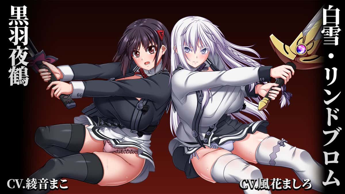 视觉数据5